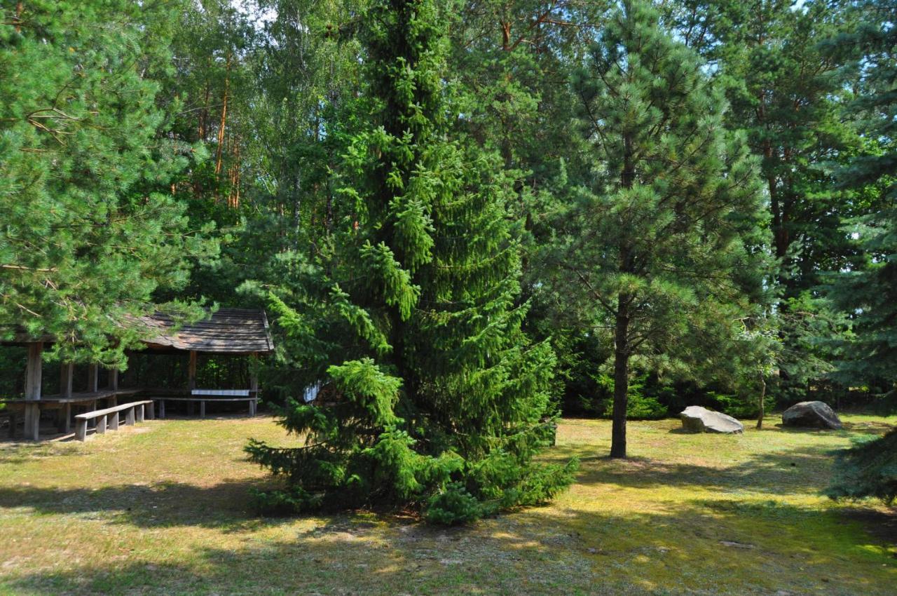 Agroturystyka "Lesne Zacisze Na Podlasiu" Tuczna Экстерьер фото