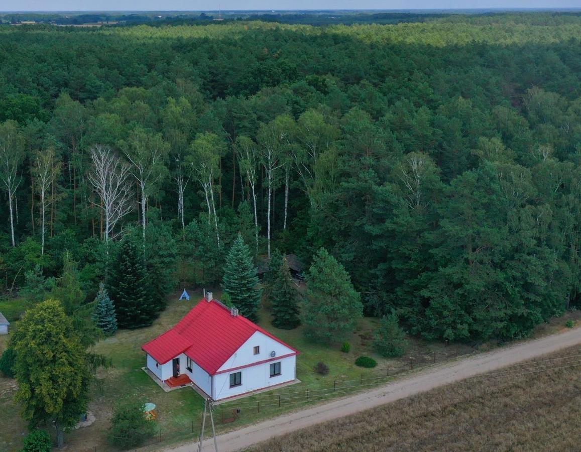 Agroturystyka "Lesne Zacisze Na Podlasiu" Tuczna Экстерьер фото